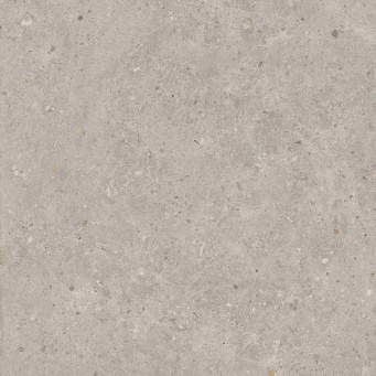 SG653720R Риккарди серый светлый матовый обрезной 60x60x0,9 КЕРАМА МАРАЦЦИ фото SG653720R Риккарди серый светлый матовый обрезной 60x60x0,9 КЕРАМА МАРАЦЦИ