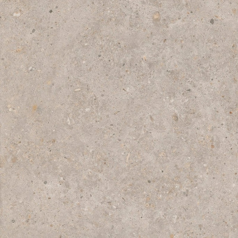 SG653820R Риккарди бежевый матовый обрезной 60x60x0,9 КЕРАМА МАРАЦЦИ фото SG653820R Риккарди бежевый матовый обрезной 60x60x0,9 КЕРАМА МАРАЦЦИ