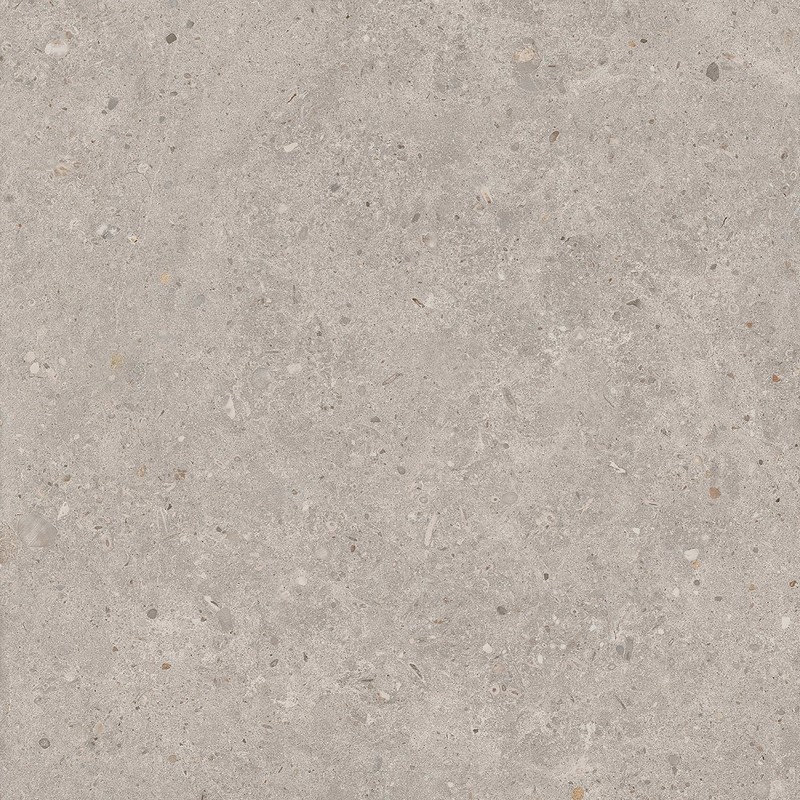SG653720R Риккарди серый светлый матовый обрезной 60x60x0,9 КЕРАМА МАРАЦЦИ фото SG653720R Риккарди серый светлый матовый обрезной 60x60x0,9 КЕРАМА МАРАЦЦИ