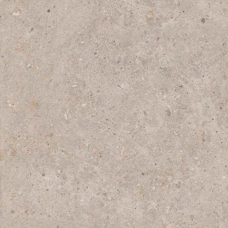 SG653820R Риккарди бежевый матовый обрезной 60x60x0,9 КЕРАМА МАРАЦЦИ фото SG653820R Риккарди бежевый матовый обрезной 60x60x0,9 КЕРАМА МАРАЦЦИ